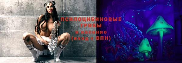 трава Иннополис