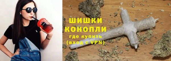 трава Иннополис